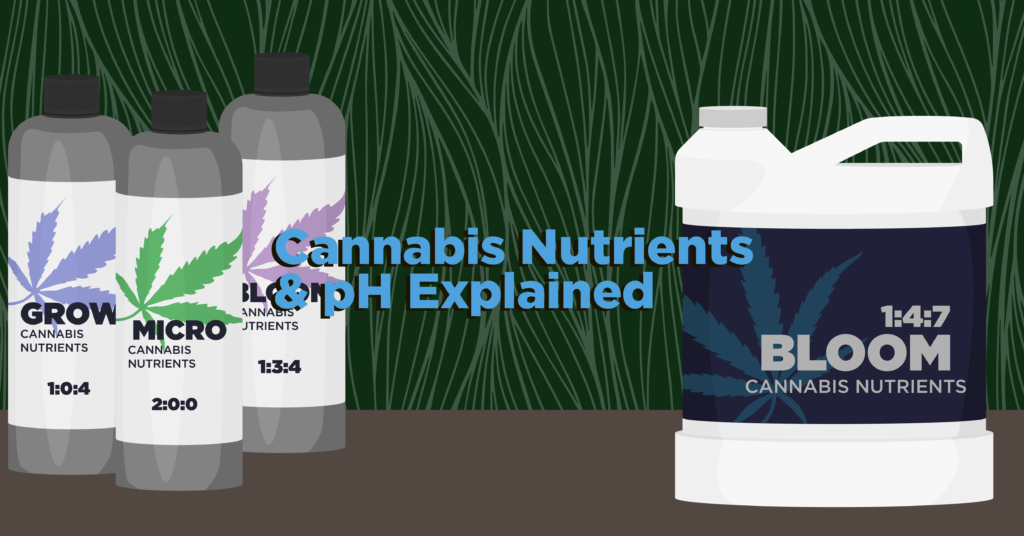 Cannabis Nutrients & pH Explained – Forest City Marijuana